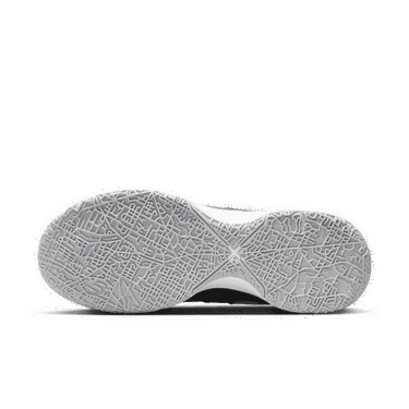 Tenisice i cipele Nike LeBron NXXT Gen Crna | DR8784-005, 2