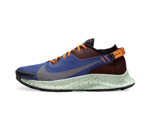 Trčanje Nike Pegasus Trail 2 GTX Plava | cu2016-600