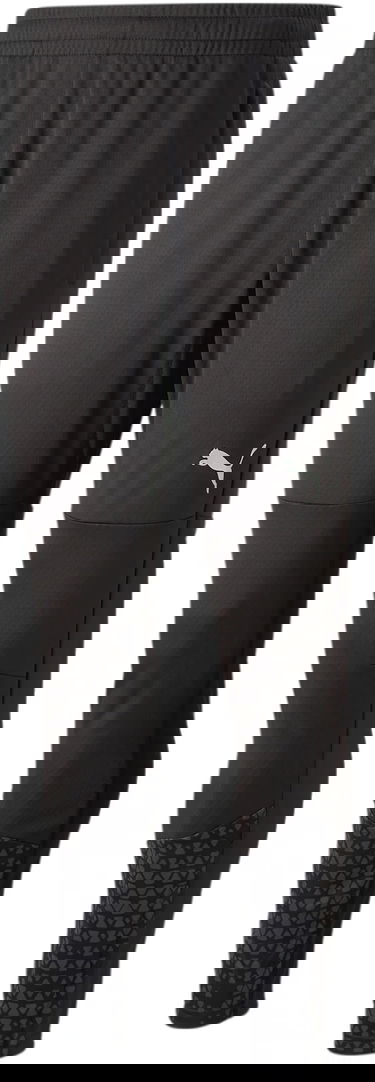 Trenirka Puma teamCUP Pants Crna | 658369-003, 0