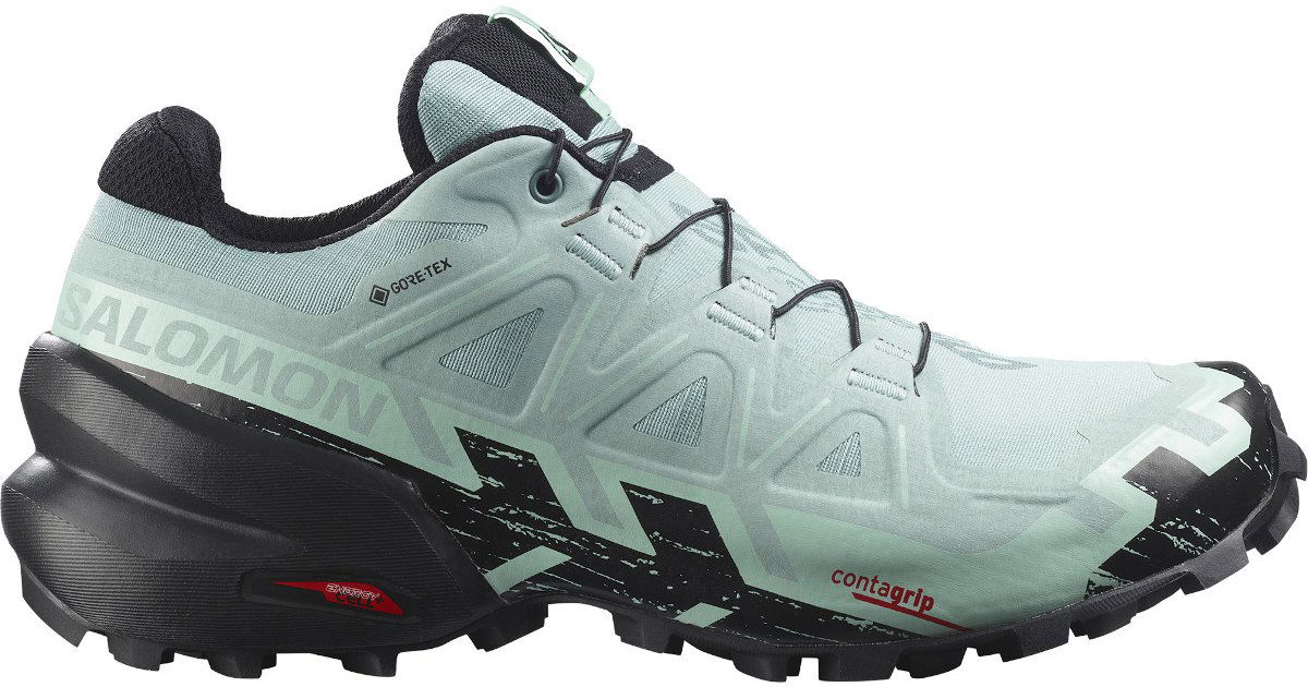Tenisice i cipele Salomon Speedcross 6 Gore-Tex Tirkiz | l41743500, 1