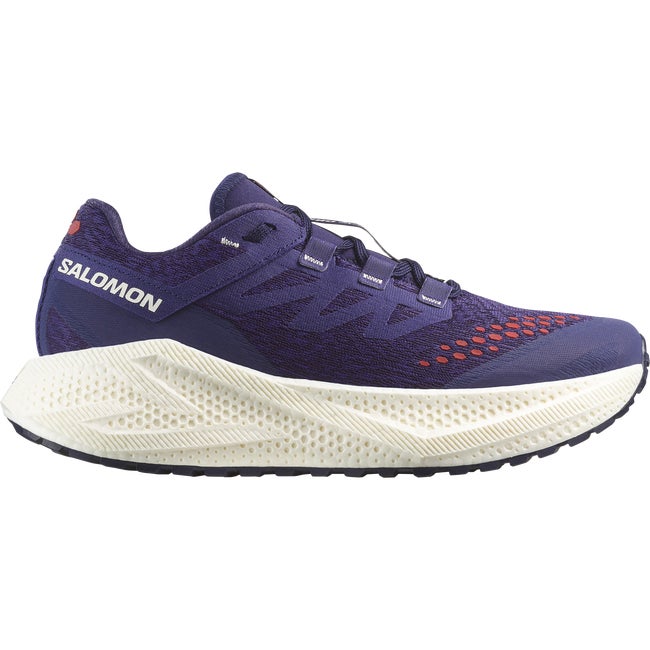 Tenisice i cipele Salomon Aero Glide 3 Ljubičasta | L47869800