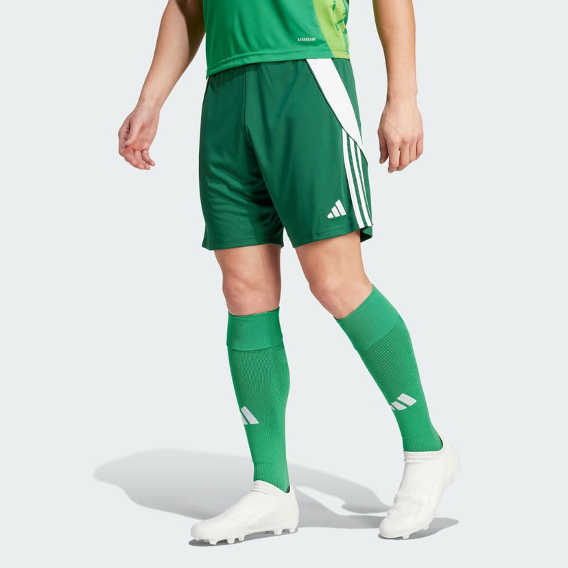 Kratke hlače adidas Performance Tiro 24 Zelena | IS1410