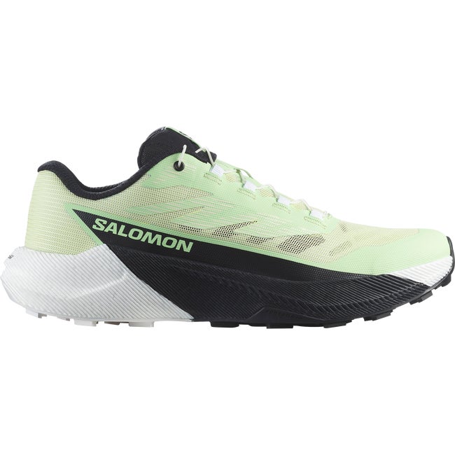 Tenisice i cipele Salomon Pulsar Zelena | L47973600