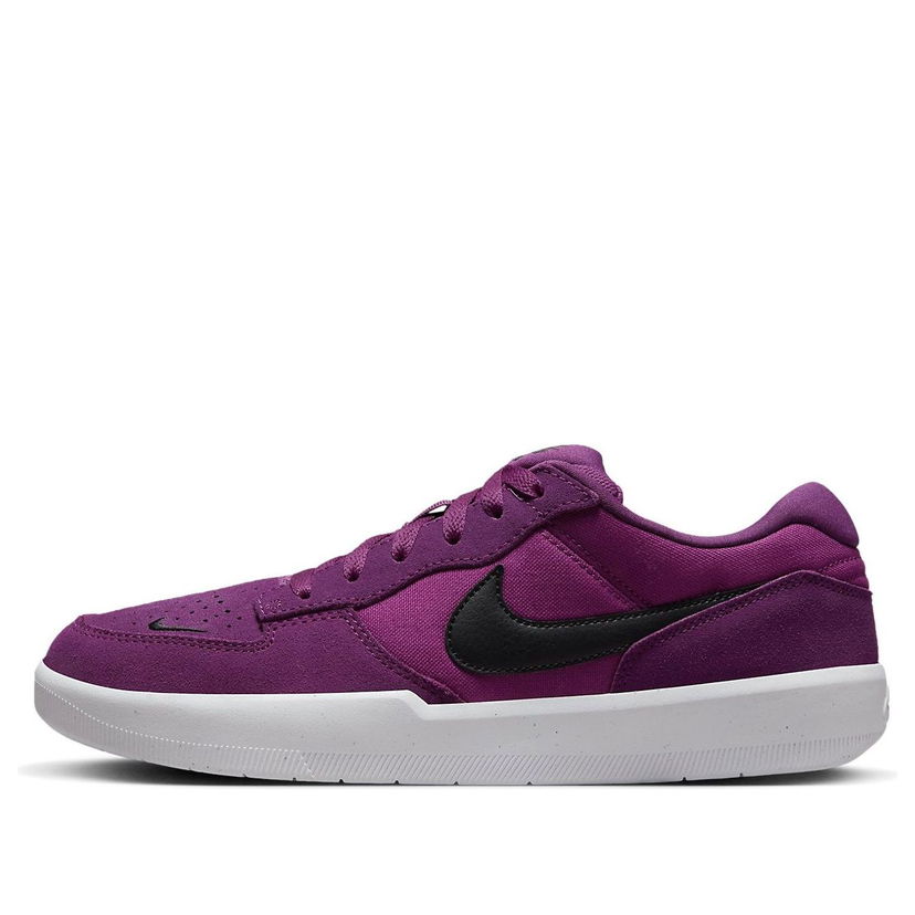 Tenisice i cipele Nike SB Force 58 SB Ljubičasta | CZ2959-505