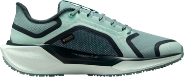 Tenisice i cipele Nike Pegasus 41 GORE-TEX Tirkiz | fq1357-003, 3