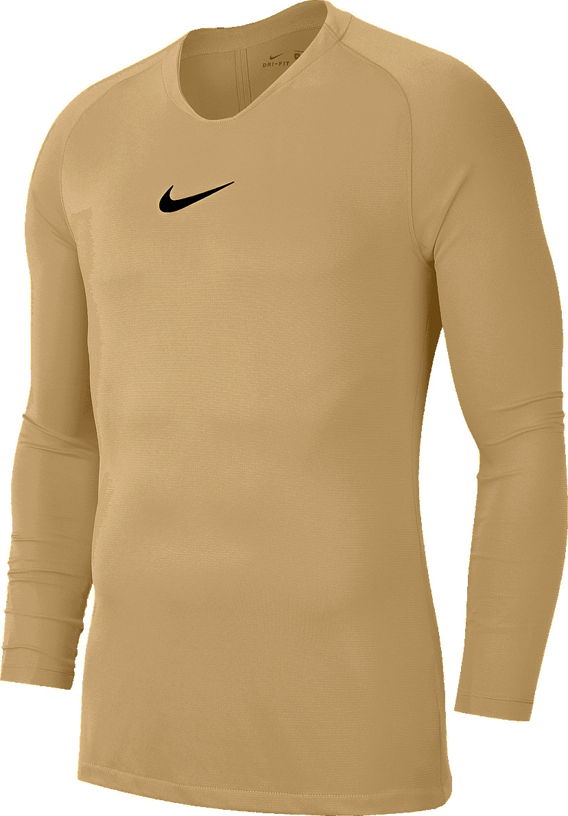 Majica kratkih rukava Nike NK DF PARK 1STLYR JSY LS Bež | av2609-729