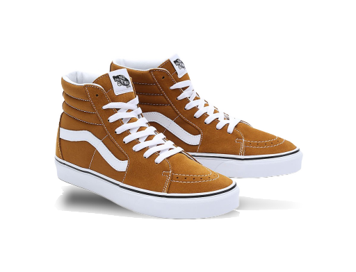 Skateboarding Vans Chaussures Color Theory Smeđa | VN0007NS1M7