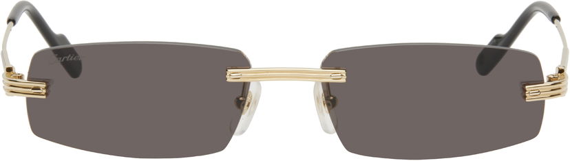 Sunčane naočale Cartier Cartier 'Première de Cartier' Sunglasses Siva | CT0535S-001