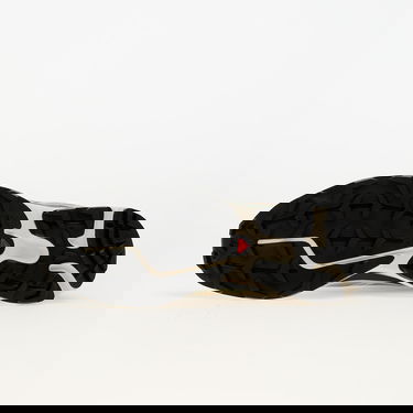 Tenisice i cipele Salomon Salomon XT-6 Bež | L47737400, 6