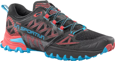 Tenisice i cipele La Sportiva Bushido III Gtx Crna | 4019614-56y, 2