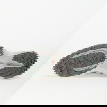 Tenisice i cipele Salomon Xt Pu.Re Advanced Ice Fl/ Ftw Silver Metalik | L47858700, 1