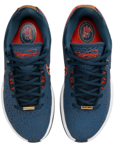 Tenisice i cipele Nike LeBron XXI SE Plava | FV3606-400, 3