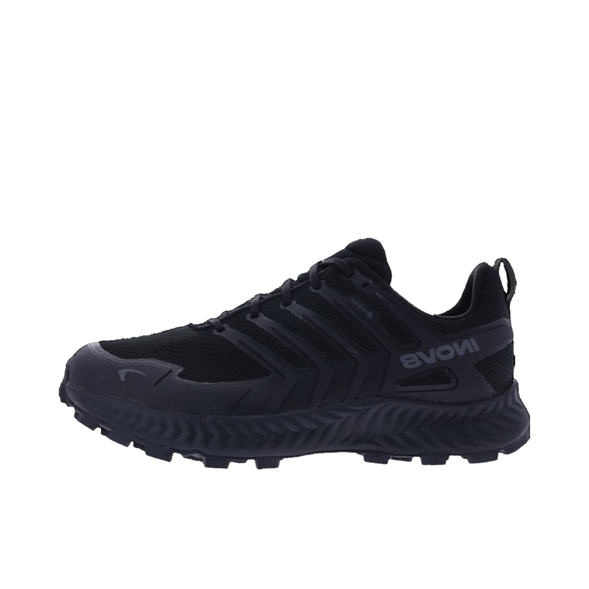 Tenisice i cipele inov-8 INOV-8 Roclite Gtx Crna | 001287-bkdg-w-001