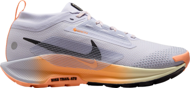 Tenisice i cipele Nike Pegasus Trail 5 GORE-TEX Višebojno | fq0912-011, 0