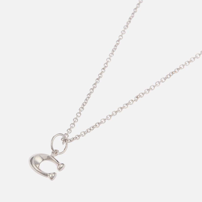 Ogrlica Coach Starter Chain Silver-Tone Pendant Necklace Metalik | 37335949RHO030