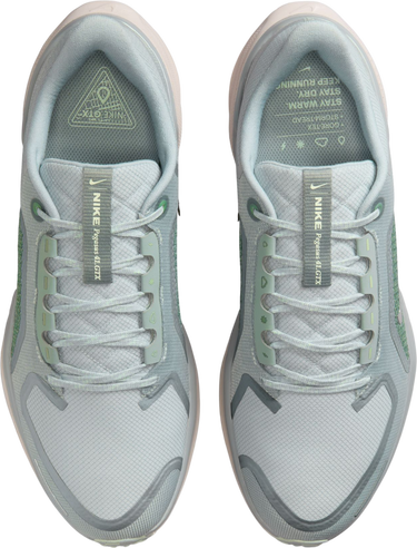 Tenisice i cipele Nike Pegasus 41 GORE-TEX Višebojno | fq1356-007, 2