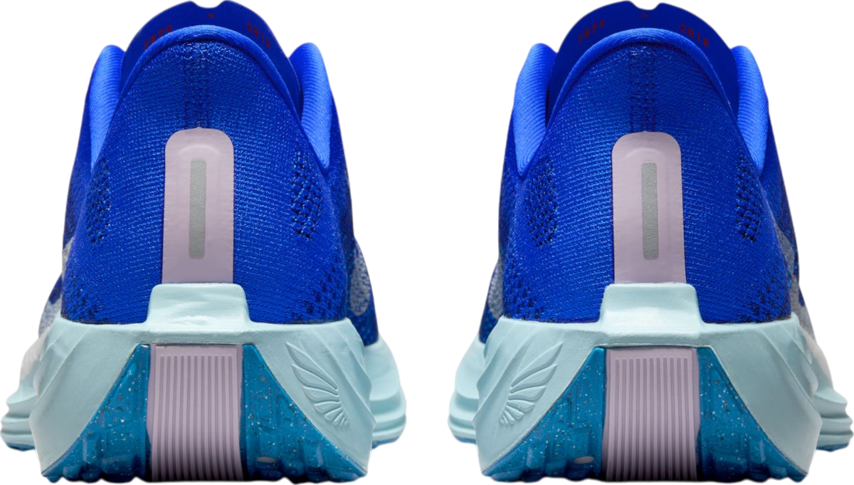 Tenisice i cipele Nike Pegasus Plus Premium Plava | hq1719-400, 1