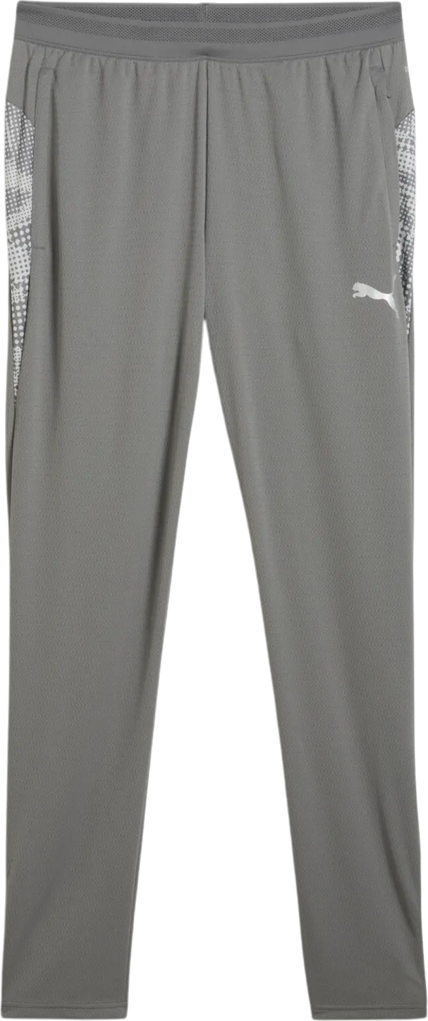 Trenirka Puma teamCUP Training Pants Siva | 659175-13