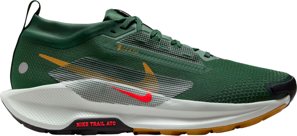 Tenisice i cipele Nike Pegasus Trail 5 GORE-TEX Zelena | fq0908-301, 0