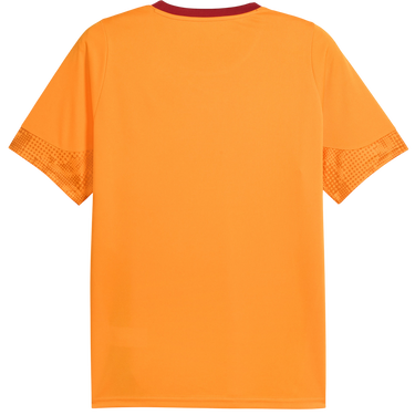 Dres Puma Galatasaray Istanbul Training Jersey Narančasta | 949105-006, 1