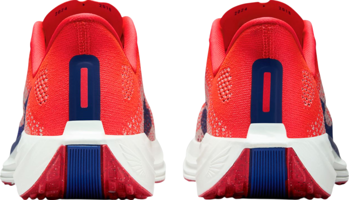 Tenisice i cipele Nike Pegasus Plus Crvena | fq7261-602, 1