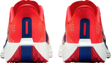 Tenisice i cipele Nike Pegasus Plus Crvena | fq7261-602, 1