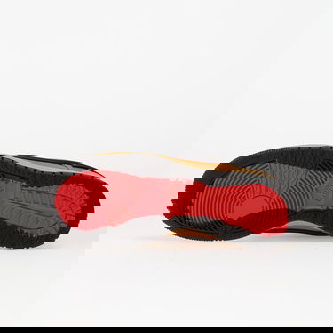 Tenisice i cipele Nike Dunk Low Gtx Smeđa | HQ2053-700, 1