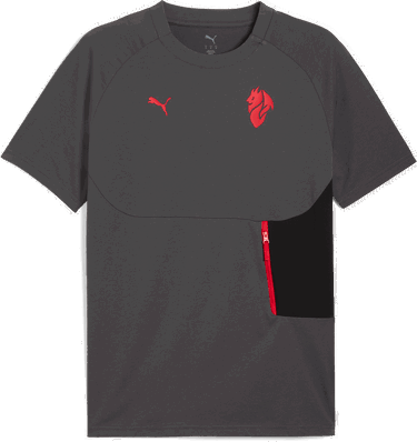 Majica kratkih rukava Puma AC Milan TECH Pocket T-Shirt Siva | 782393-15, 0