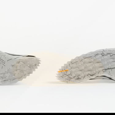 Tenisice i cipele adidas Performance Terrex Skychaser GORE-TEX Hiking Shoes Bež | IH2802, 1