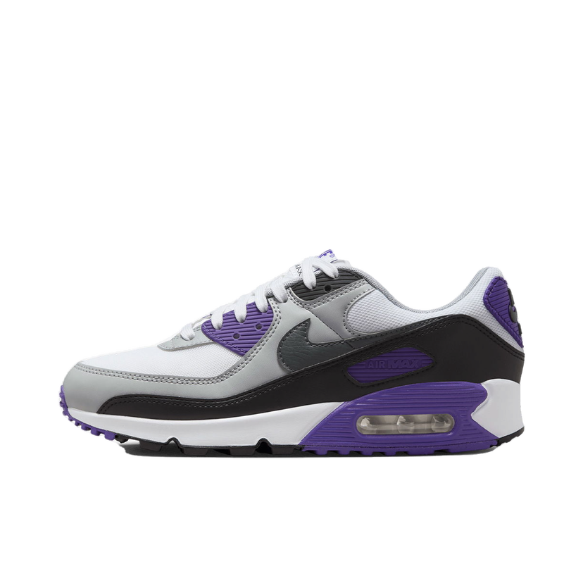 Tenisice i cipele Nike Air Max 90 NN Ljubičasta | DH8010-110