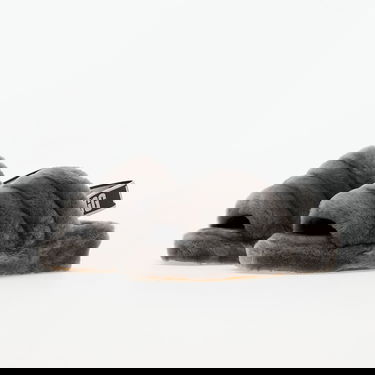 Tenisice i cipele UGG Fluff Yeah "Charcoal" W Siva | 1095119-CHRC, 5