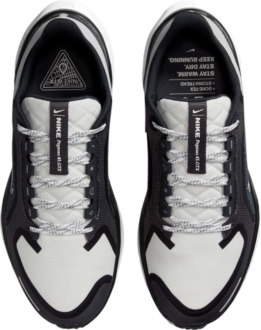 Tenisice i cipele Nike Pegasus 41 GORE-TEX Crna | fq1357-002, 2