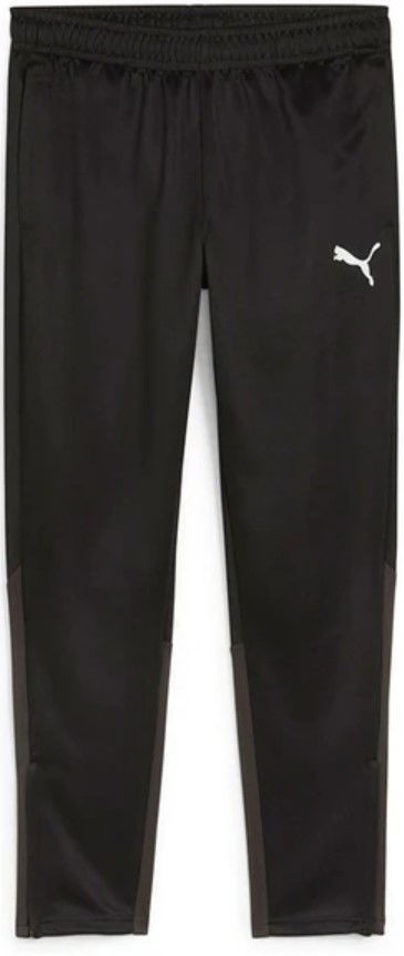 Trenirka Puma teamGOAL Training Pant Crna | 658639-03