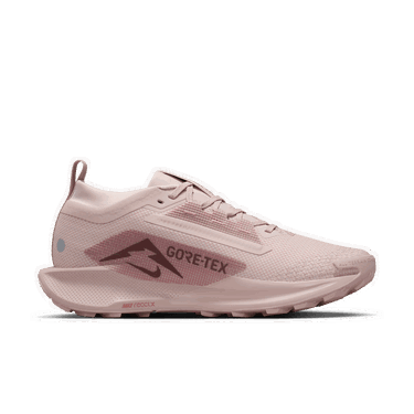 Tenisice i cipele Nike Pegasus Trail 5 GTX Ružičasta | FQ0912-601, 1