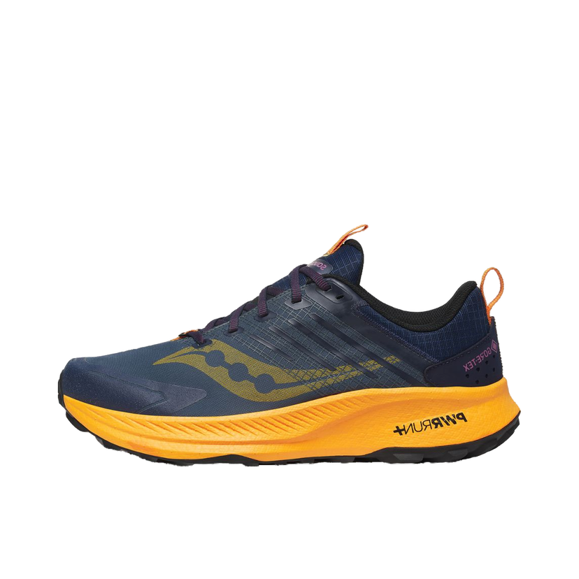 Trčanje Saucony Ride TR2 GTX Plava | S20953-251