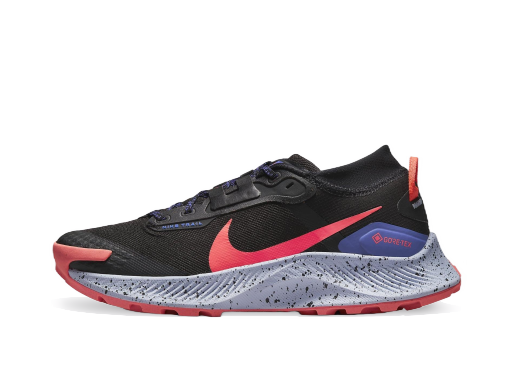 Trčanje Nike Pegasus Trail 3 GTX W Crna | dc8794-002