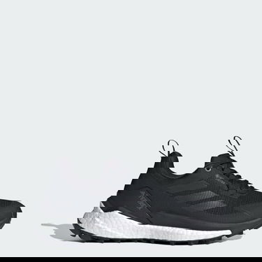 Tenisice i cipele adidas Performance Terrex Free Hiker 2.0 Low Gore-Tex Crna | IH0671, 0