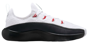 Tenisice i cipele Nike LeBron TR 1 Bijela | FJ6151-101, 1