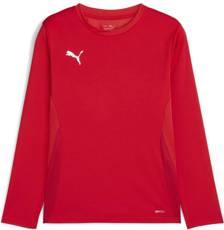 Dres Puma teamGOAL LS Jersey Jr Long Sleeve T-Shirt Crvena | 705751-01