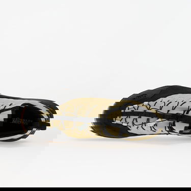 Tenisice i cipele Salomon ALPINWAY ADVANCED Paleol/ Black/ Ice Bež | L47859600, 3