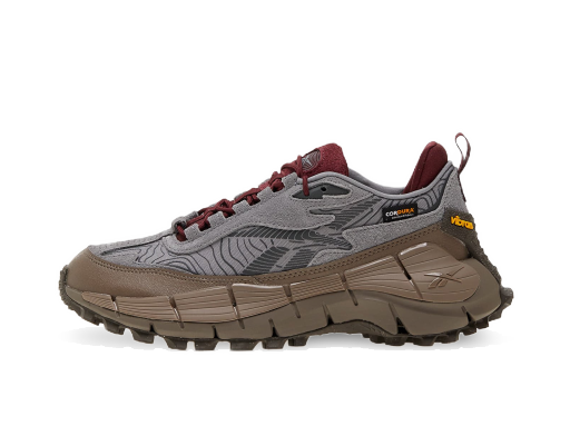 Trčanje Reebok Zig Kinetica 2.5 Edge "Pure Grey 5/ Track Grey/ Pure Grey" Siva | 100034215