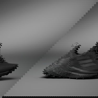 Tenisice i cipele adidas Performance Terrex Free Hiker 2.0 Low GTX Crna | IE7657, 0