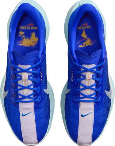 Tenisice i cipele Nike Pegasus Plus Premium Plava | hq1719-400, 2