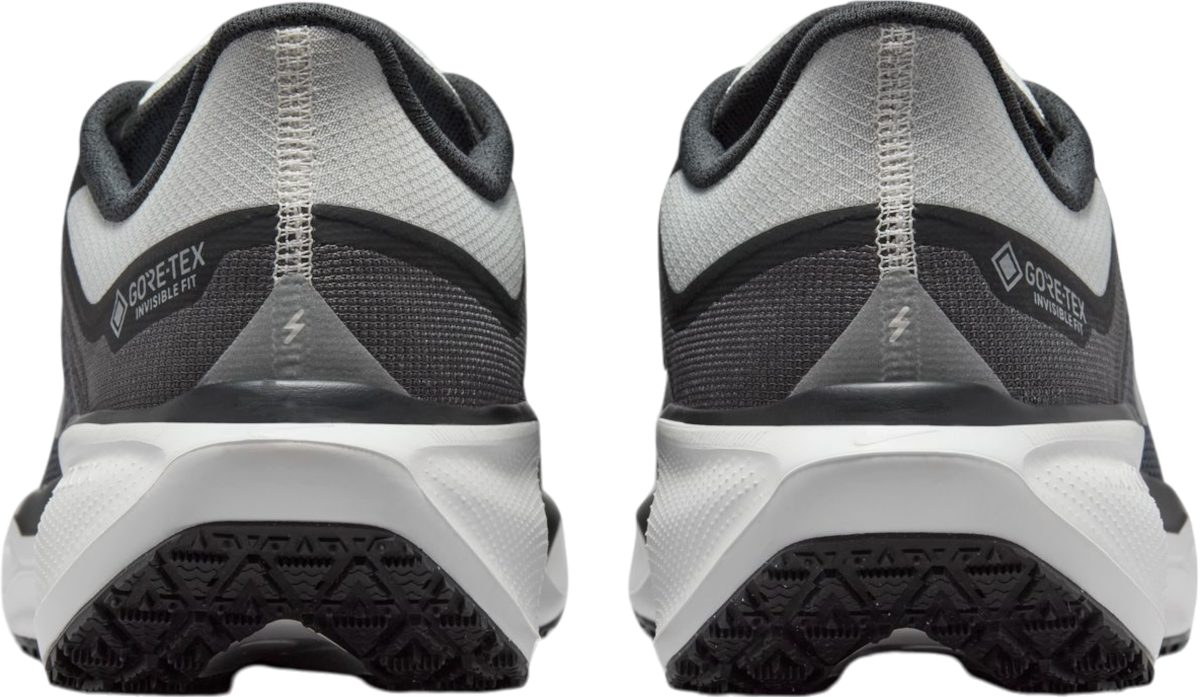 Tenisice i cipele Nike Pegasus 41 GORE-TEX Crna | fq1356-002, 1