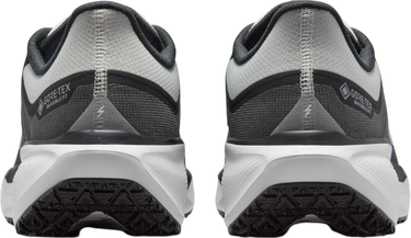 Tenisice i cipele Nike Pegasus 41 GORE-TEX Crna | fq1356-002, 1