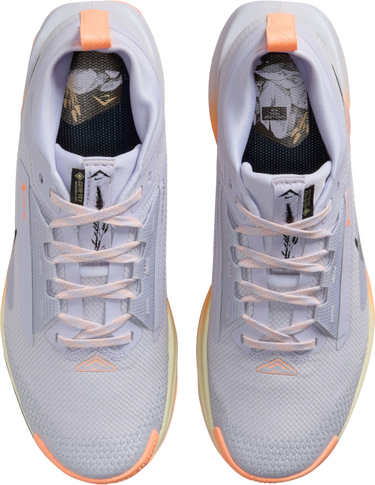 Tenisice i cipele Nike Pegasus Trail 5 GORE-TEX Višebojno | fq0912-011, 2