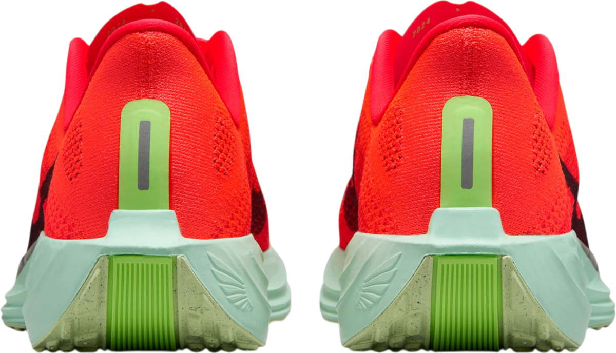 Tenisice i cipele Nike Pegasus Plus Crvena | fq7262-600, 1