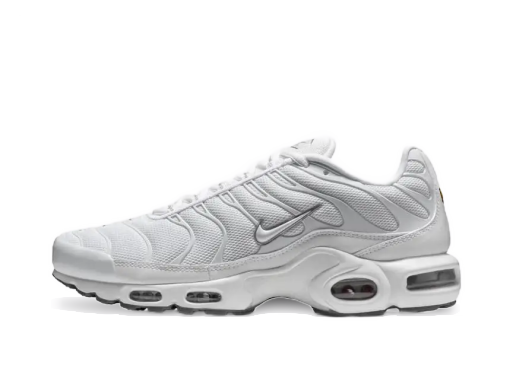 Tenisice i cipele Nike Air Max Plus Bijela | 604133-139