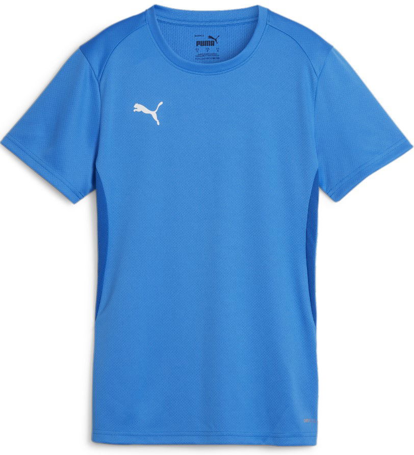 Dres Puma teamGOAL Jersey W Plava | 658638-02