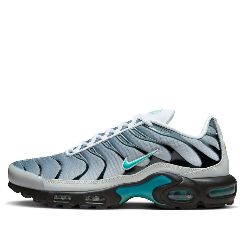 Tenisice i cipele Nike One Block Down Air Max Plus Siva | FZ3308-001